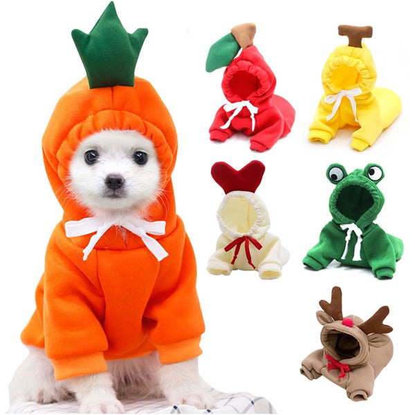 Halloween customs for your dog!