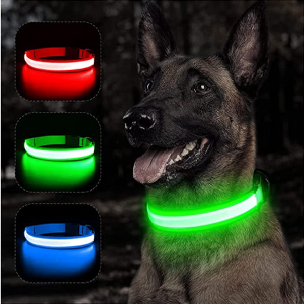 LED Glowing Dog Collar, ideal for nighwalks